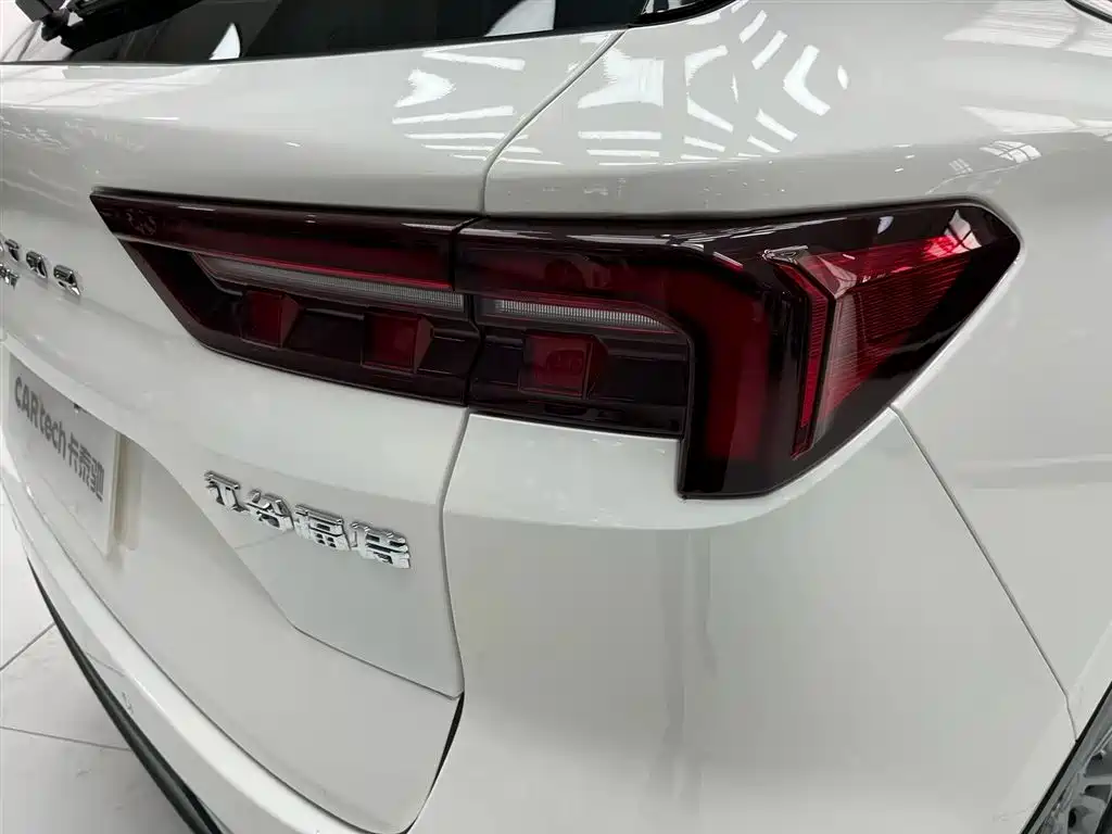 FORD LING RUI