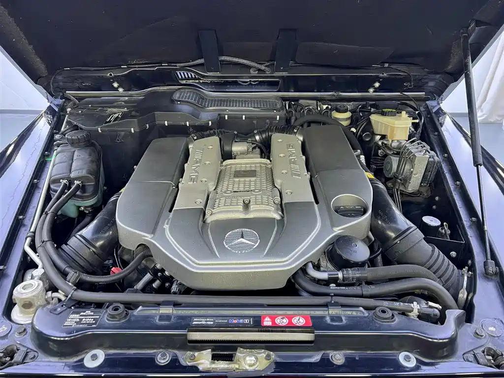 Mercedes-Benz G-Class AMG 2009 AMG G 55 фото 22