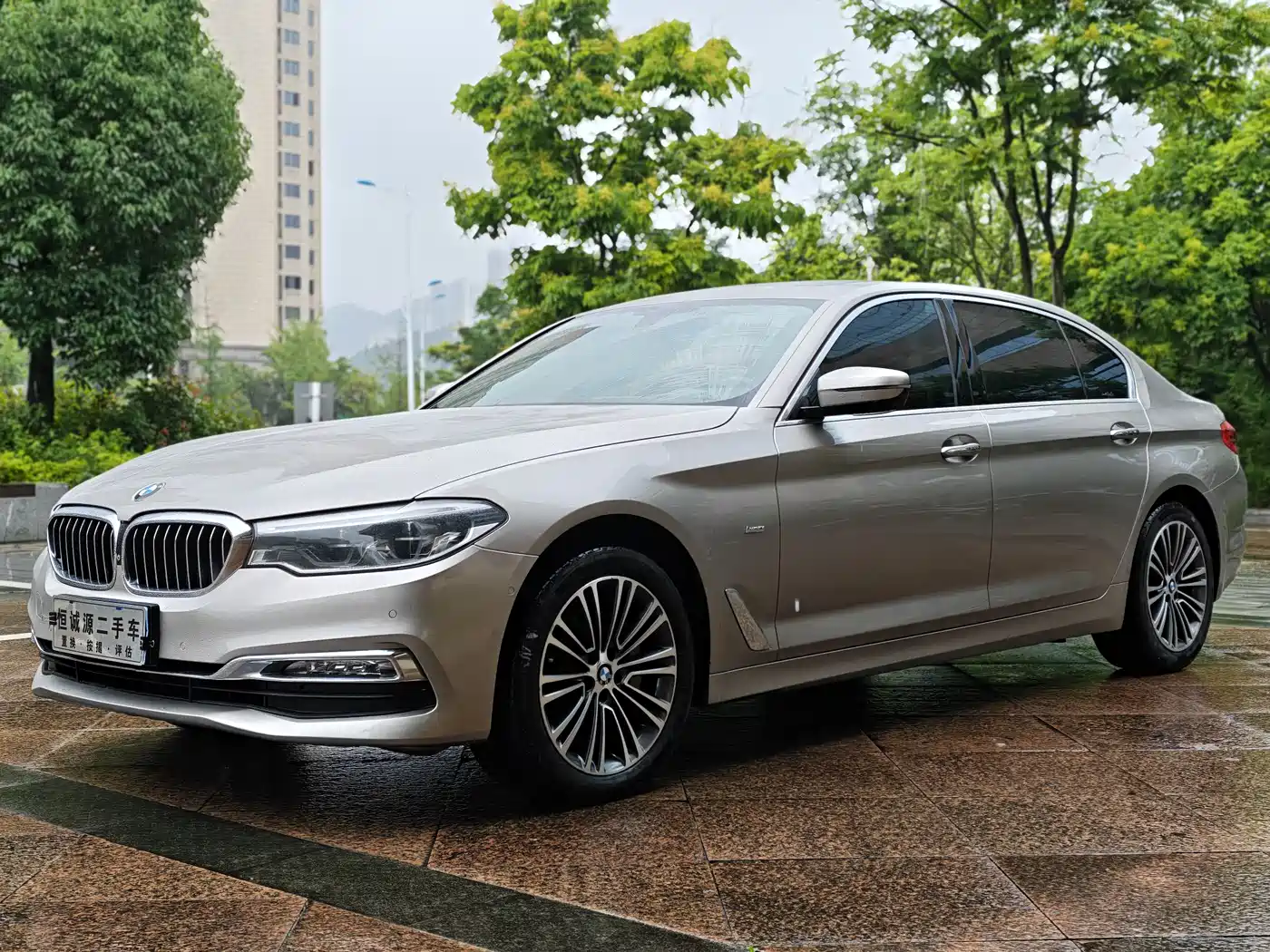 BMW 5 Series 2018 530Li Exclusive Luxury Package