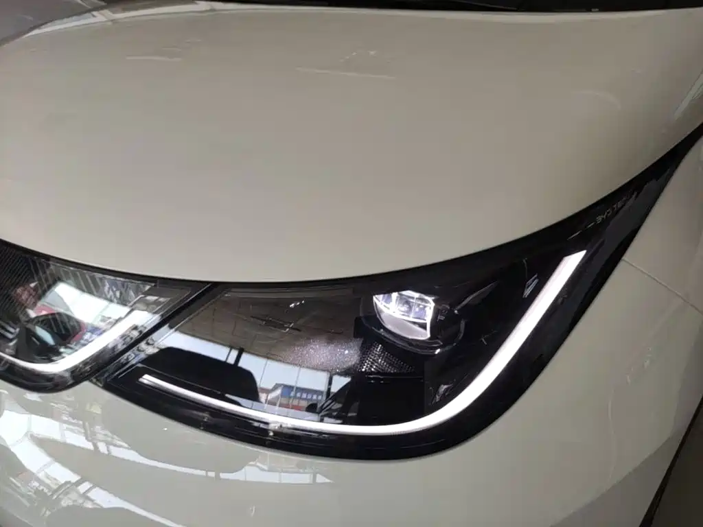 BYD Dolphin 2026 2025 Smart Drive Edition 420km Freedom Version