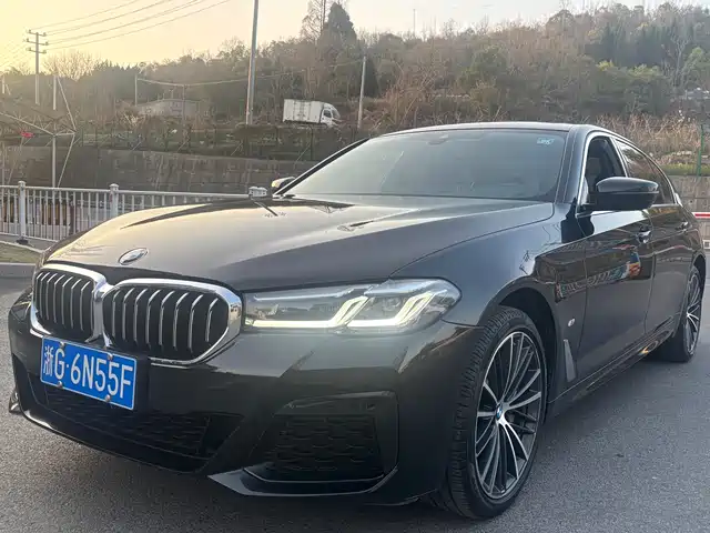 BMW 5 SERIES
