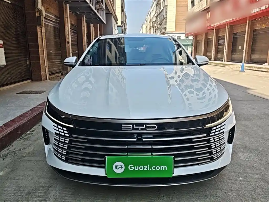 BYD Destroyer 05 2024 Glory Edition DM-i 55KM Luxury фото 3