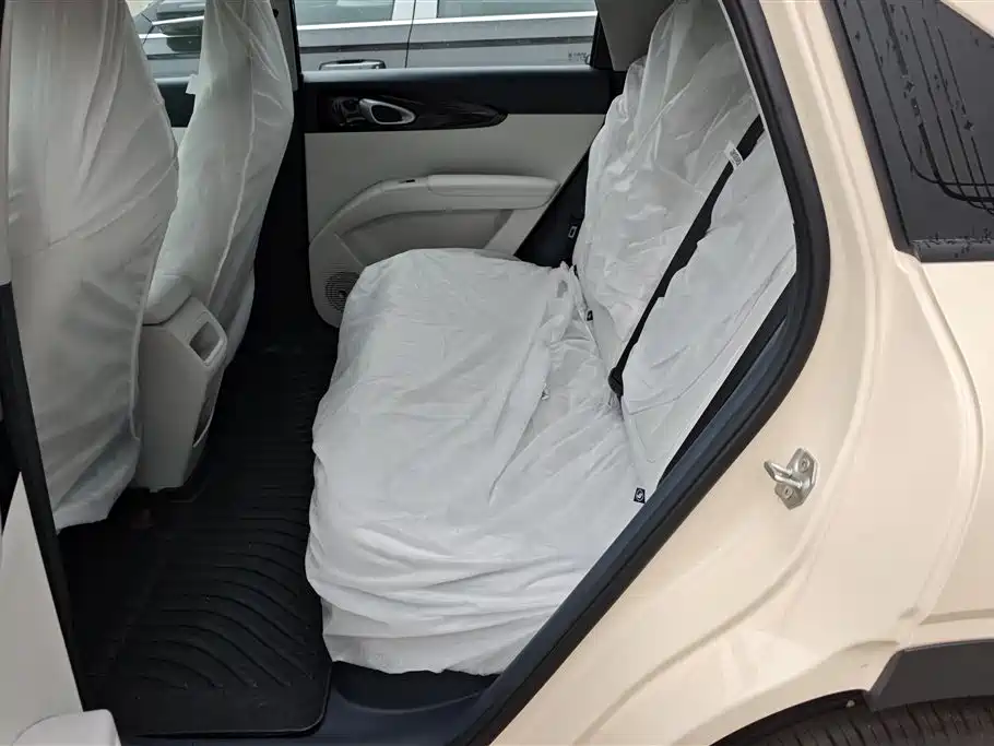 Geely Galaxy Starry Wish 2026 Edition 310km Youth Version фото 11