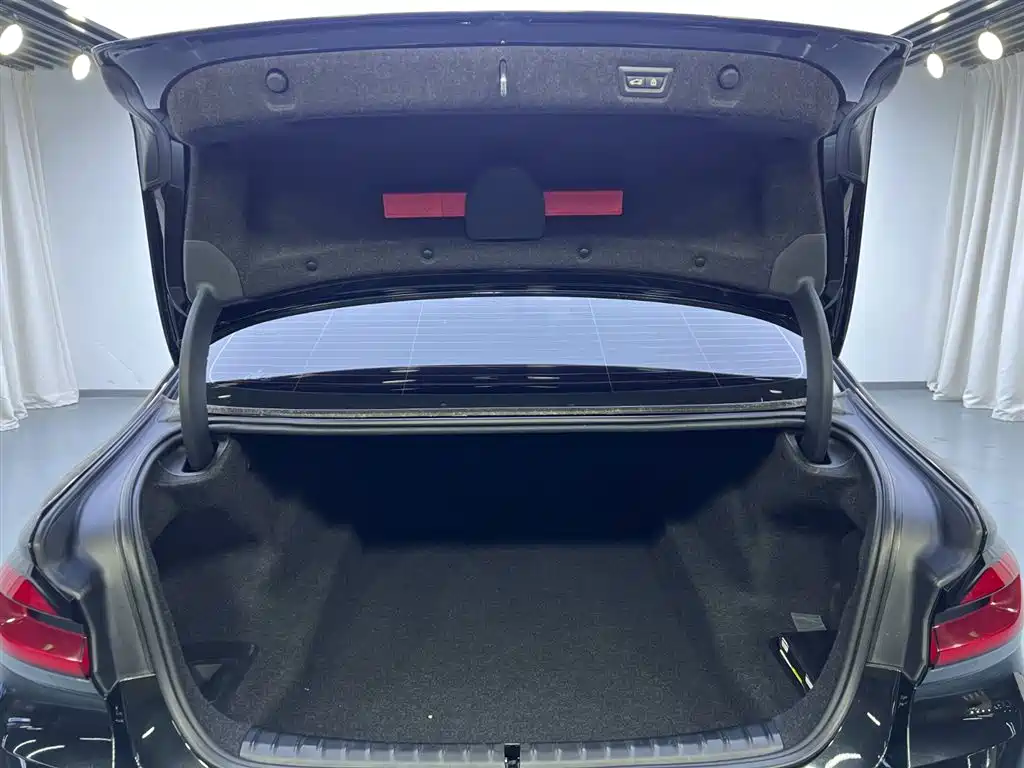 BMW 5 Series 2021 530Li Premium Luxury Package фото 26