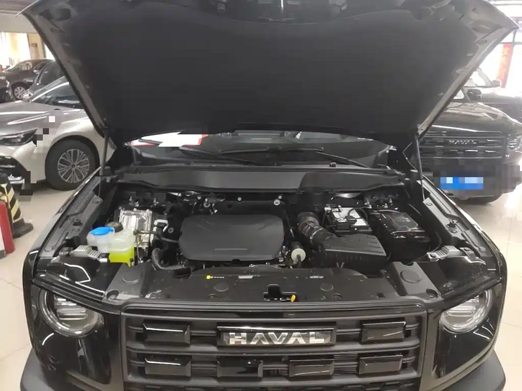  Haval Haval Big Dog 2026 Model 1.5T High Configuration 20