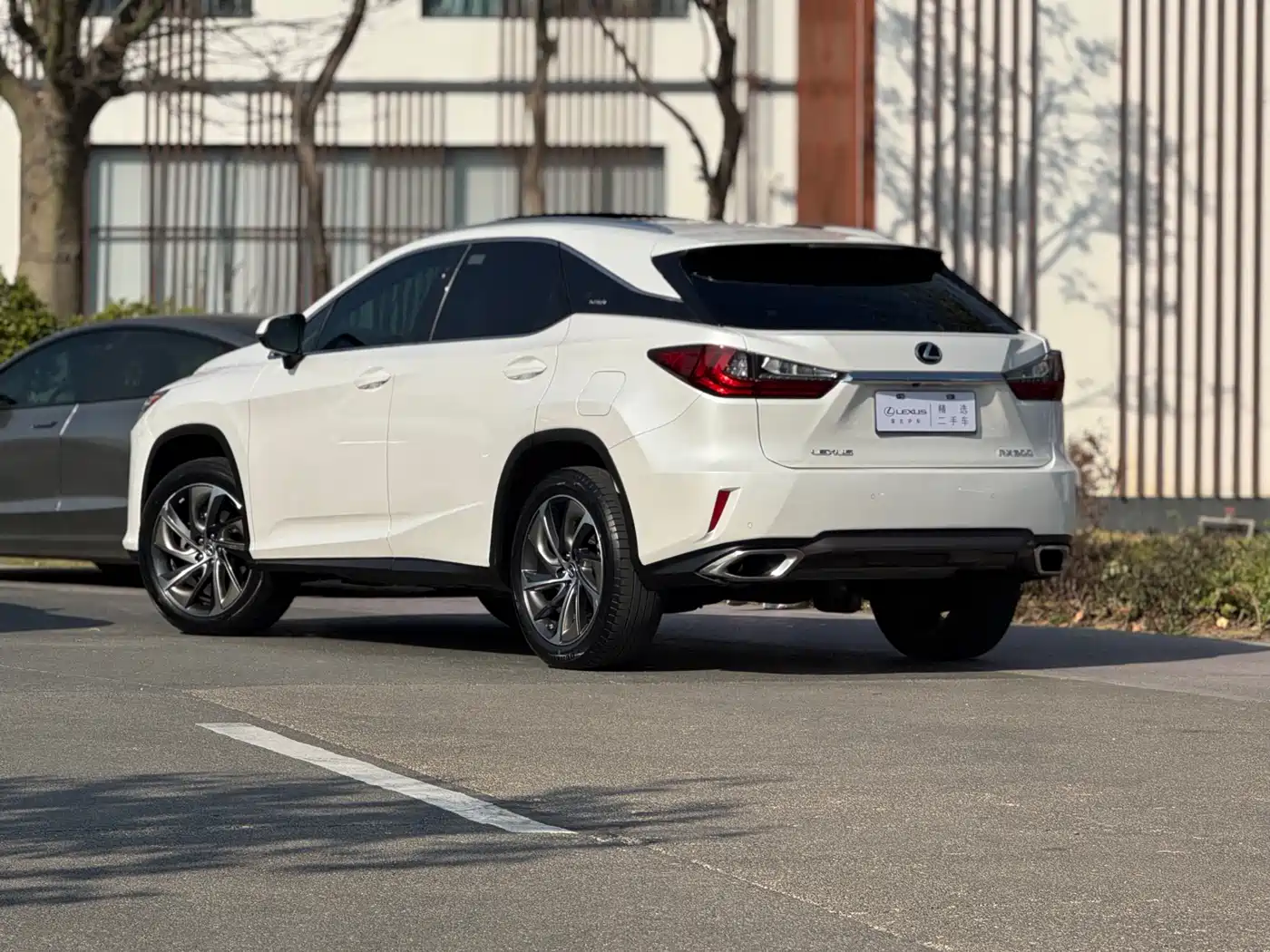 Lexus RX 2016 300 4WD Elegance Edition (China V) фото 4