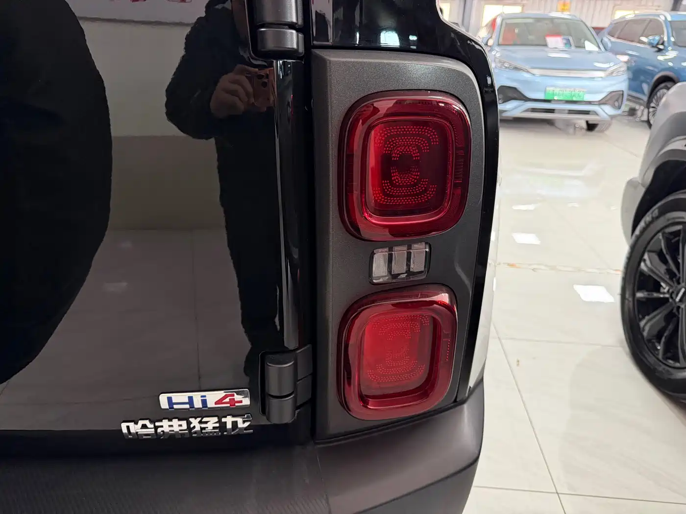 HAVAL RAPTORS NEW ENERGY