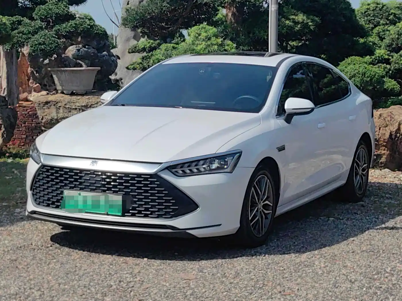 BYD Qin PLUS 2021 DM-i 55KM Flagship