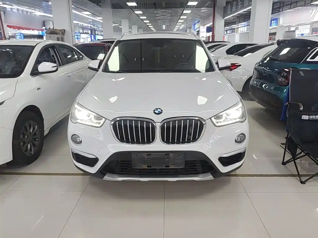 BMW X1 2019 xDrive20Li Premium Model фото 3