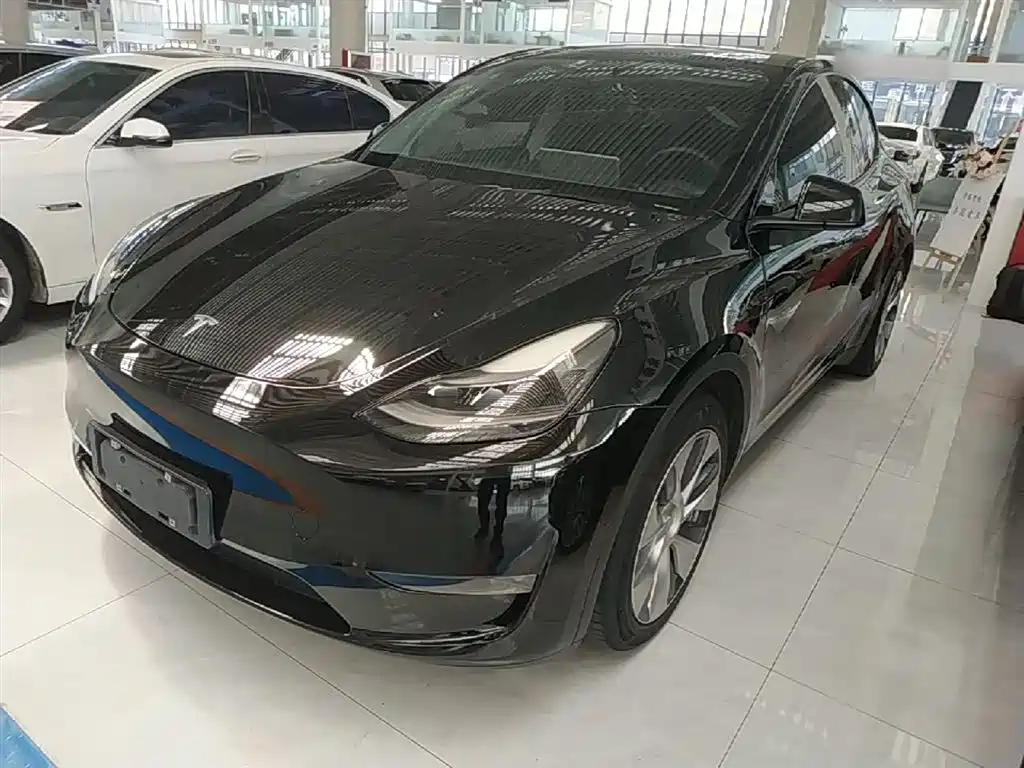 Tesla Model Y 2021 Standard Range Rear-Wheel Drive
