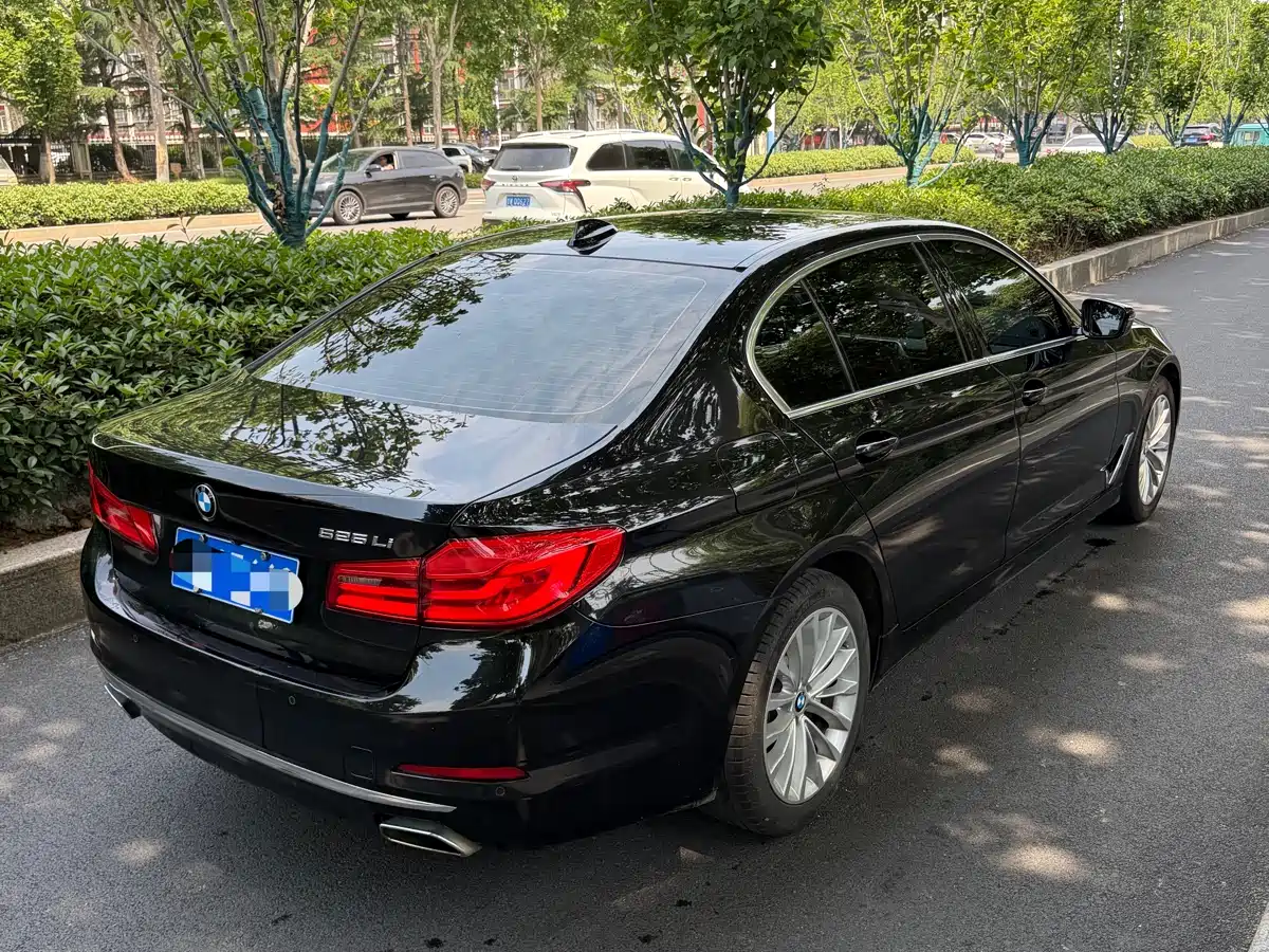 BMW 5 Series 2019 525Li Luxury Package фото 15