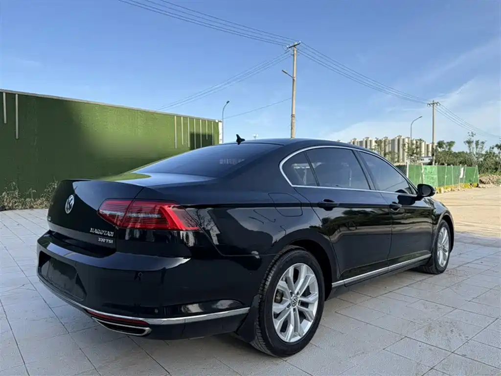 Volkswagen Magotan 2019 330TSI DSG Luxury China V фото 14