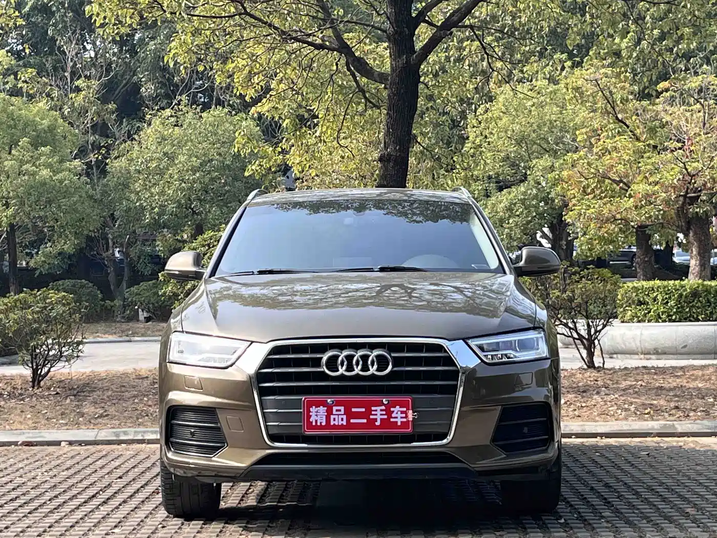 Audi Q3 2018 30th Anniversary Edition 30 TFSI Style фото 3