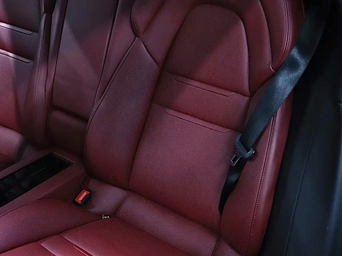 Porsche Panamera 2019 Panamera 2.9T фото 14