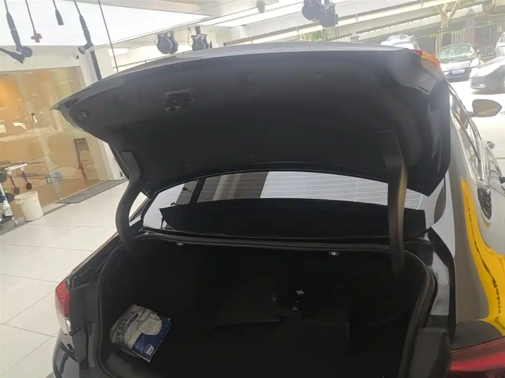 Buick Regal 2024 25T Ultra Comfort Edition фото 19