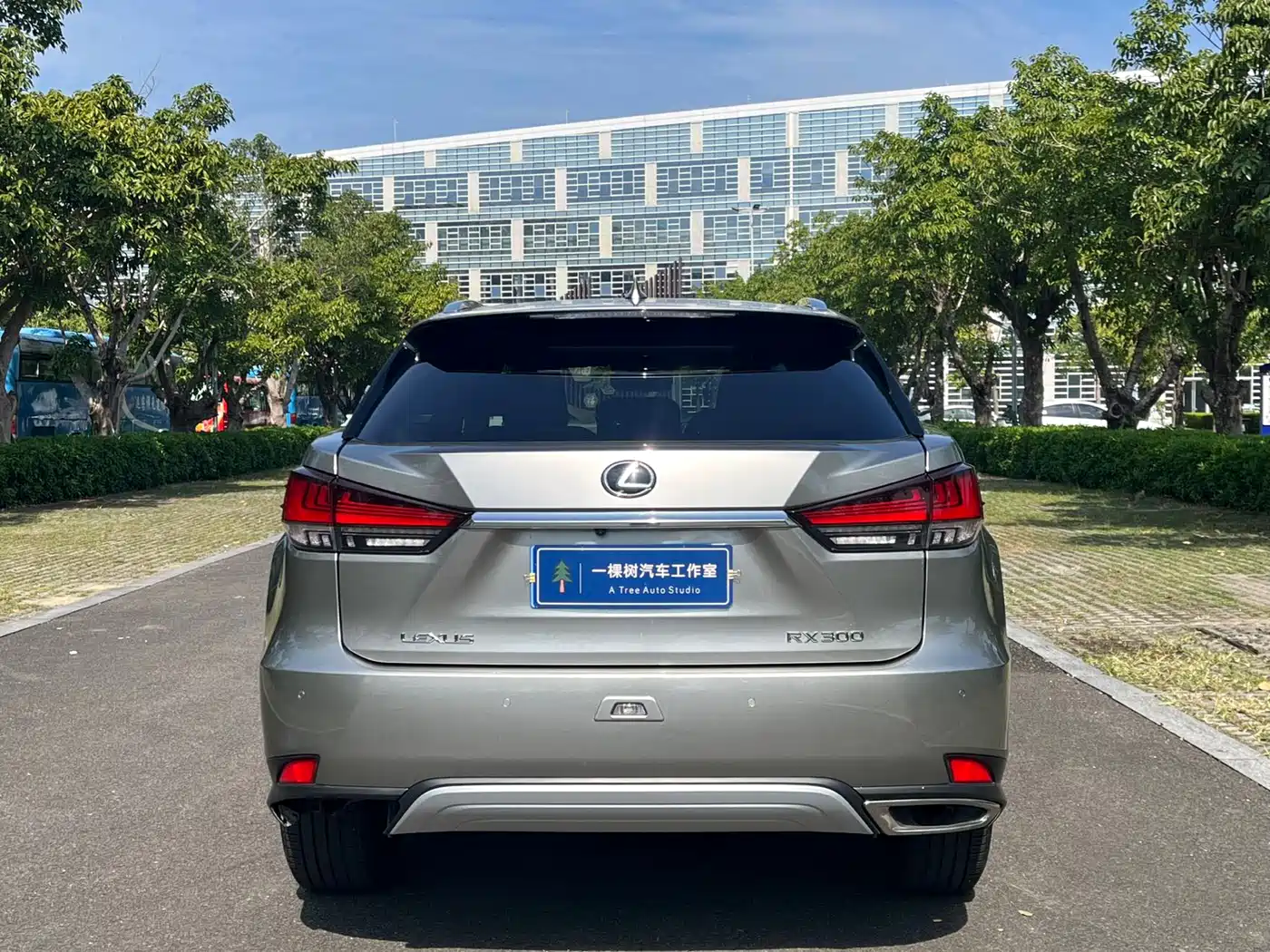 LEXUS RX