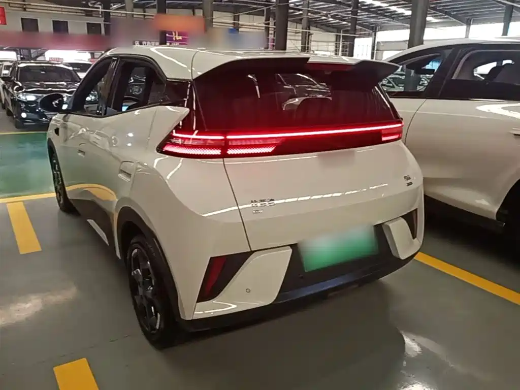 BYD Seagull 2025 Smart Drive Edition 305km Freedom Version фото 5