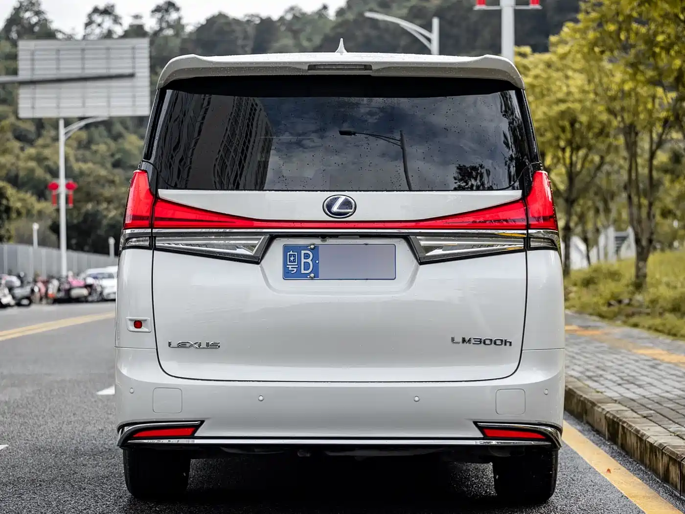 Lexus LM 2020 300h 4-Seat Imperial Edition фото 17