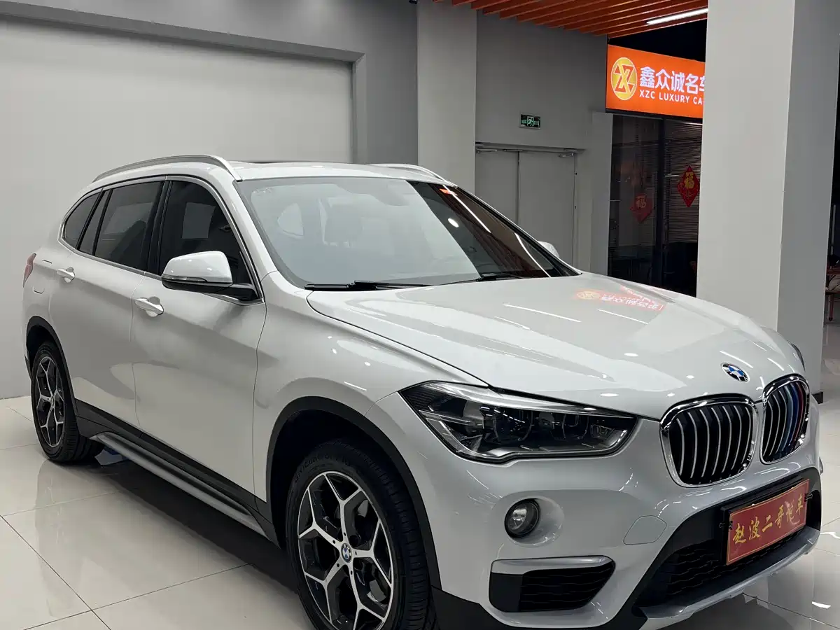 BMW X1 2019 xDrive20Li Premium Model фото 3