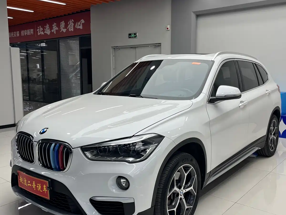 BMW X1 2019 xDrive20Li Premium Model фото 2