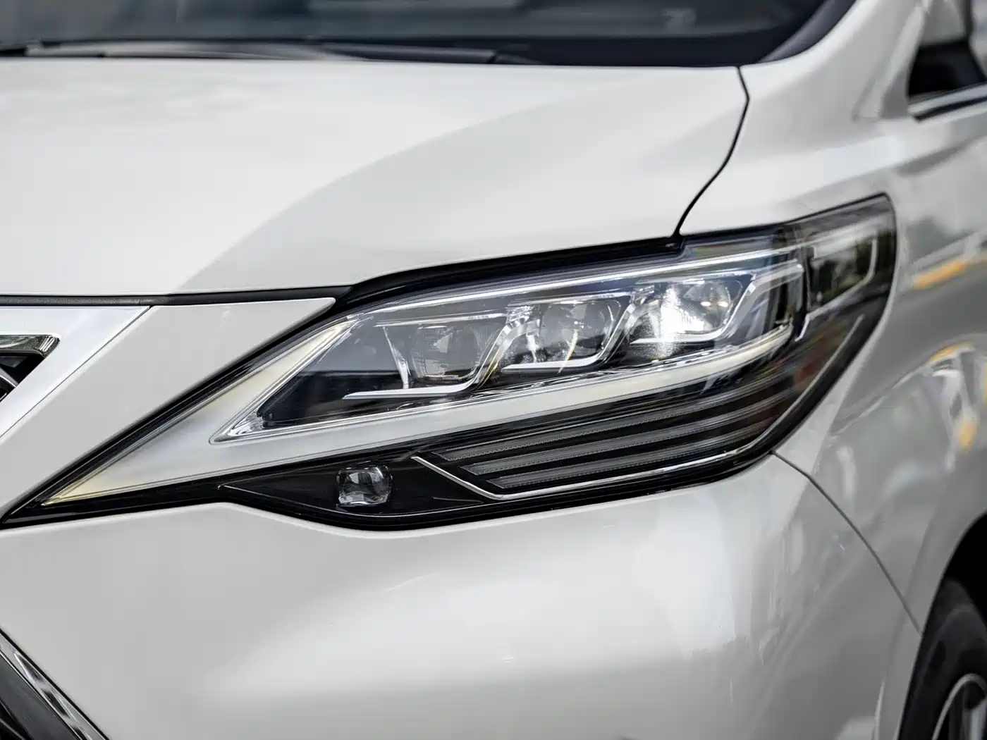 Lexus LM 2020 300h 4-Seat Imperial Edition фото 15