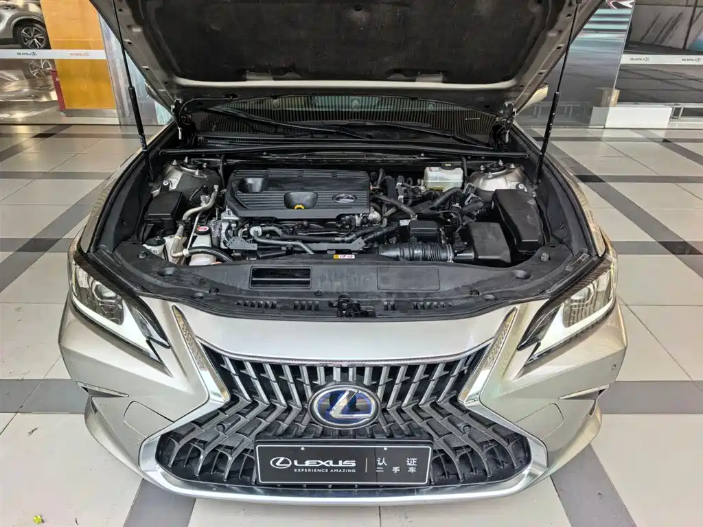 Lexus ES 2021 300h Excellence Edition фото 4