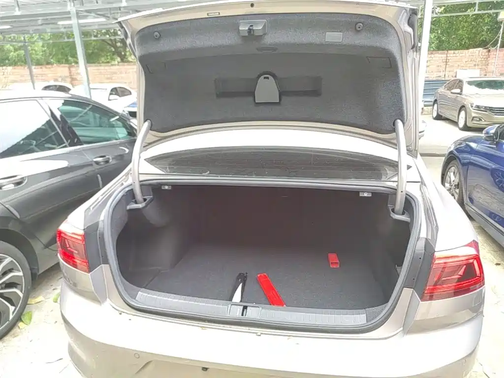 Volkswagen Magotan 2020 330TSI DSG Leading фото 19