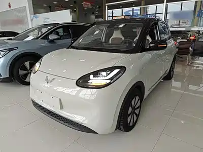 Wuling Bingo