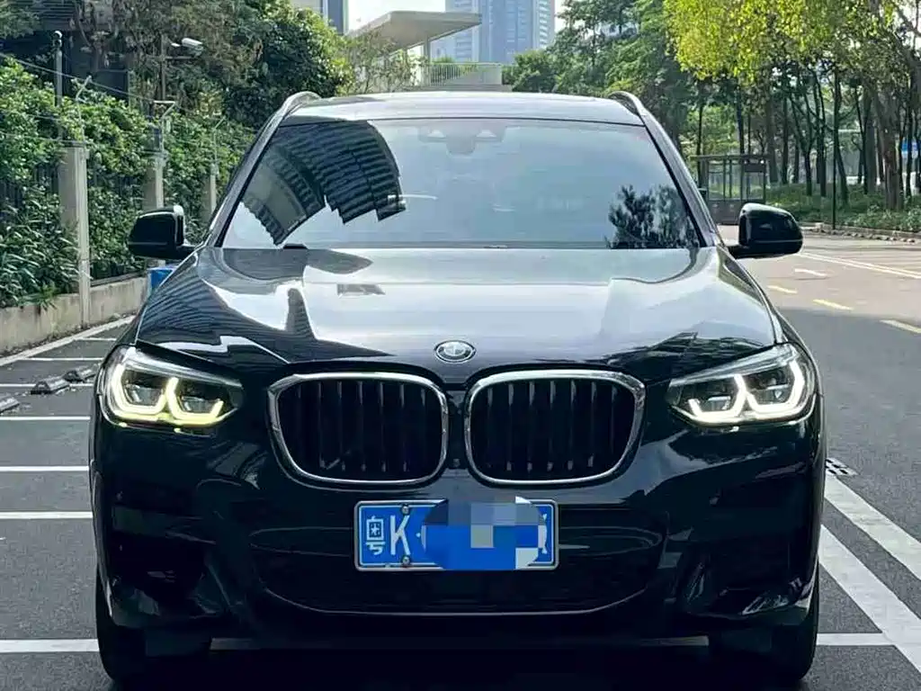BMW X3 2020 xDrive30i Leading M Sport Package фото 3