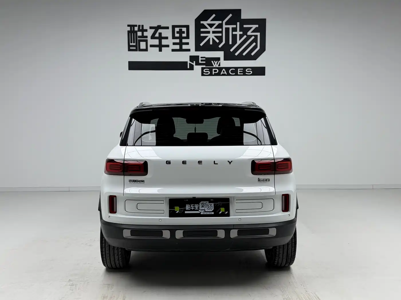 Фото 5 - Geely ICON