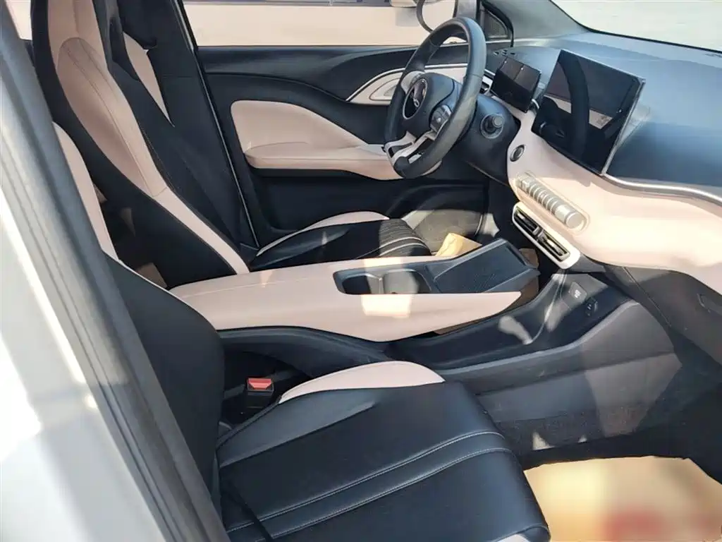 BYD Seagull 2024 Glory Edition 305km Vitality Edition фото 25