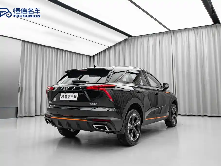 Haval Shenshou 2023 2023 1.5T Smart Enjoy Edition