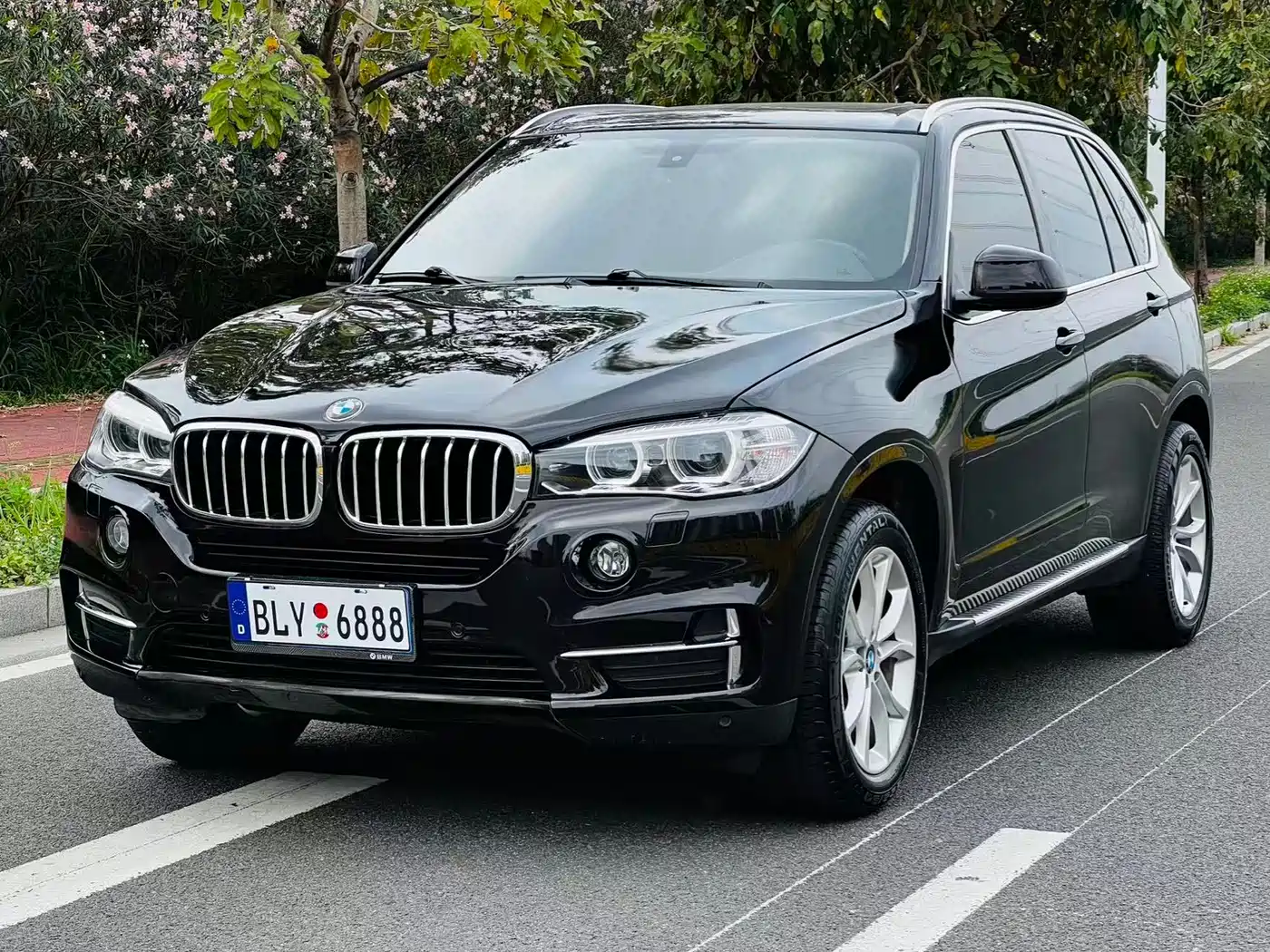 BMW X5 (Import) 2017 xDrive35i Elegance