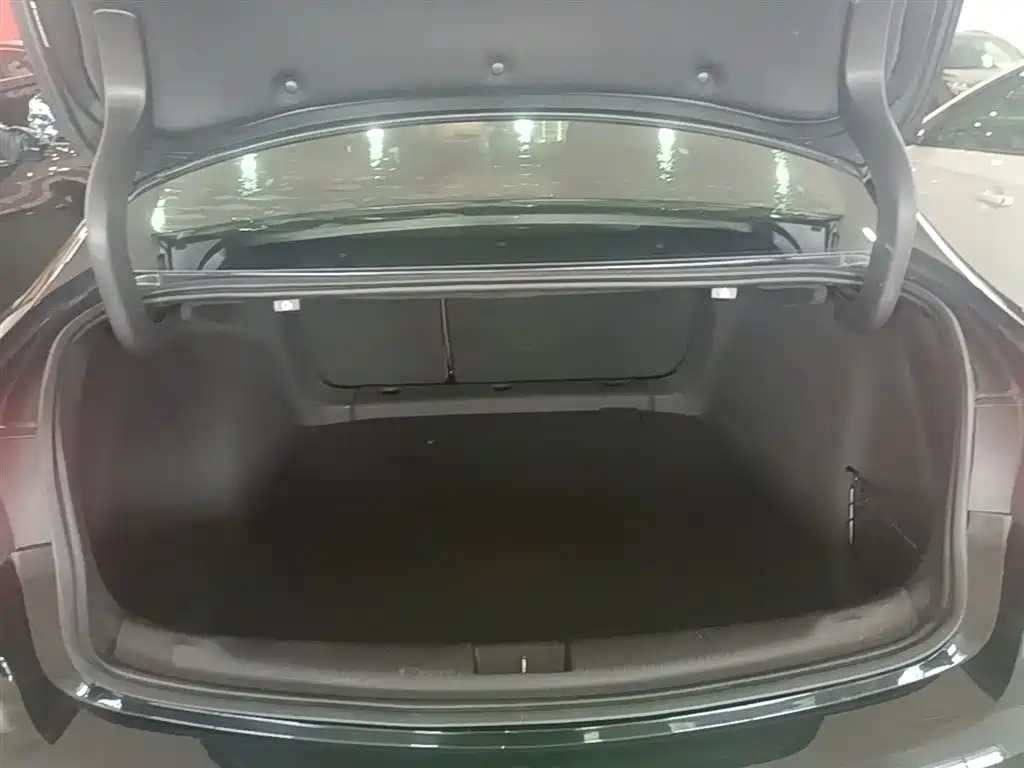 Buick Regal 2019 Facelift 20T Luxury Model China VI фото 19