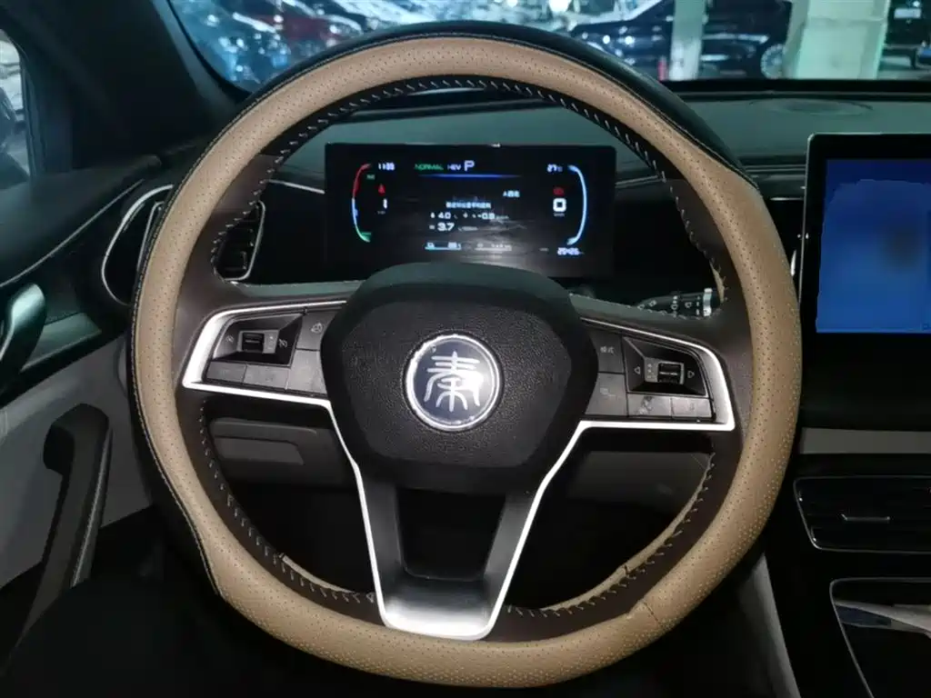 BYD Qin PLUS 2024 Glory Edition DM-i 55KM Surpass фото 11
