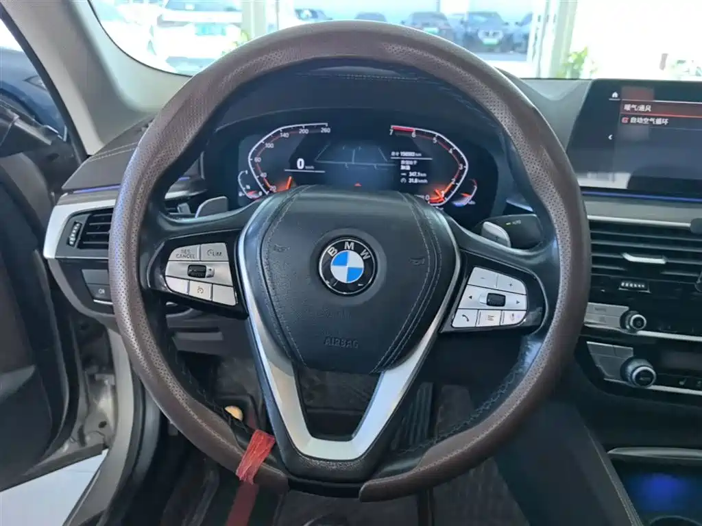 BMW 5 Series 2020 530Li Leading Luxury Package фото 11
