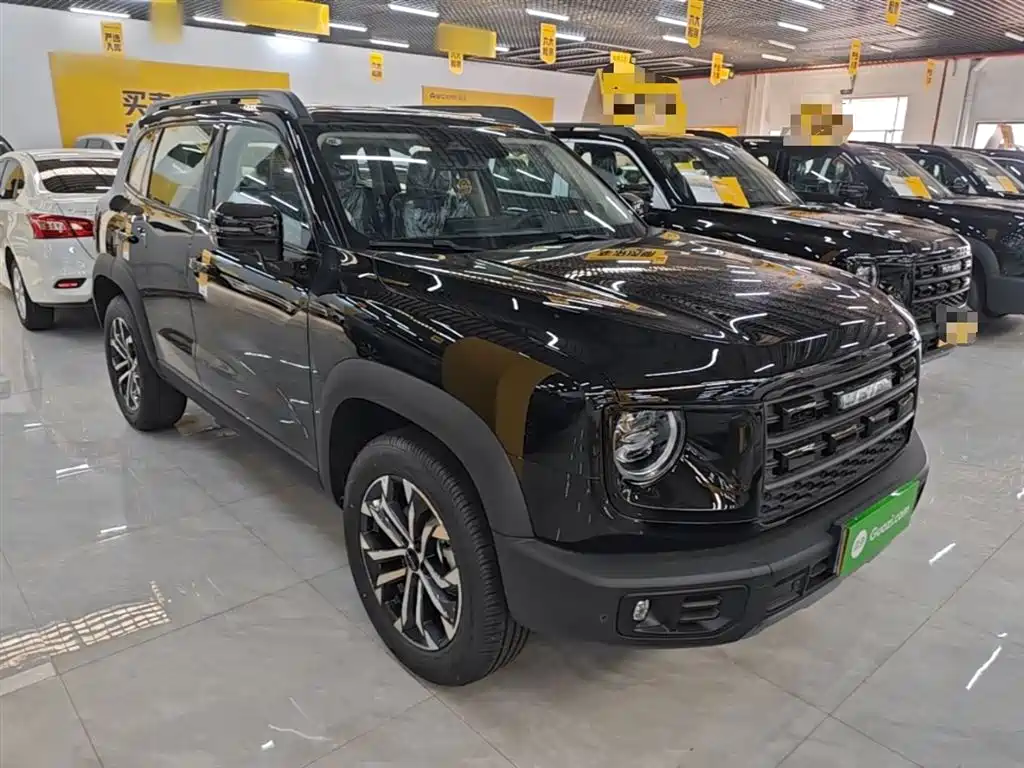 Haval Big Dog 2026 Model 1.5T High Configuration фото 4
