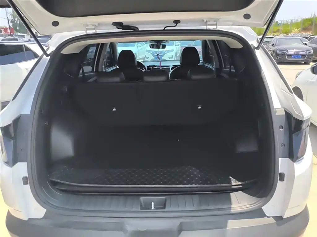 Hyundai Tucson 2021 Tucson L 1.5T DCT GLX Elite фото 19