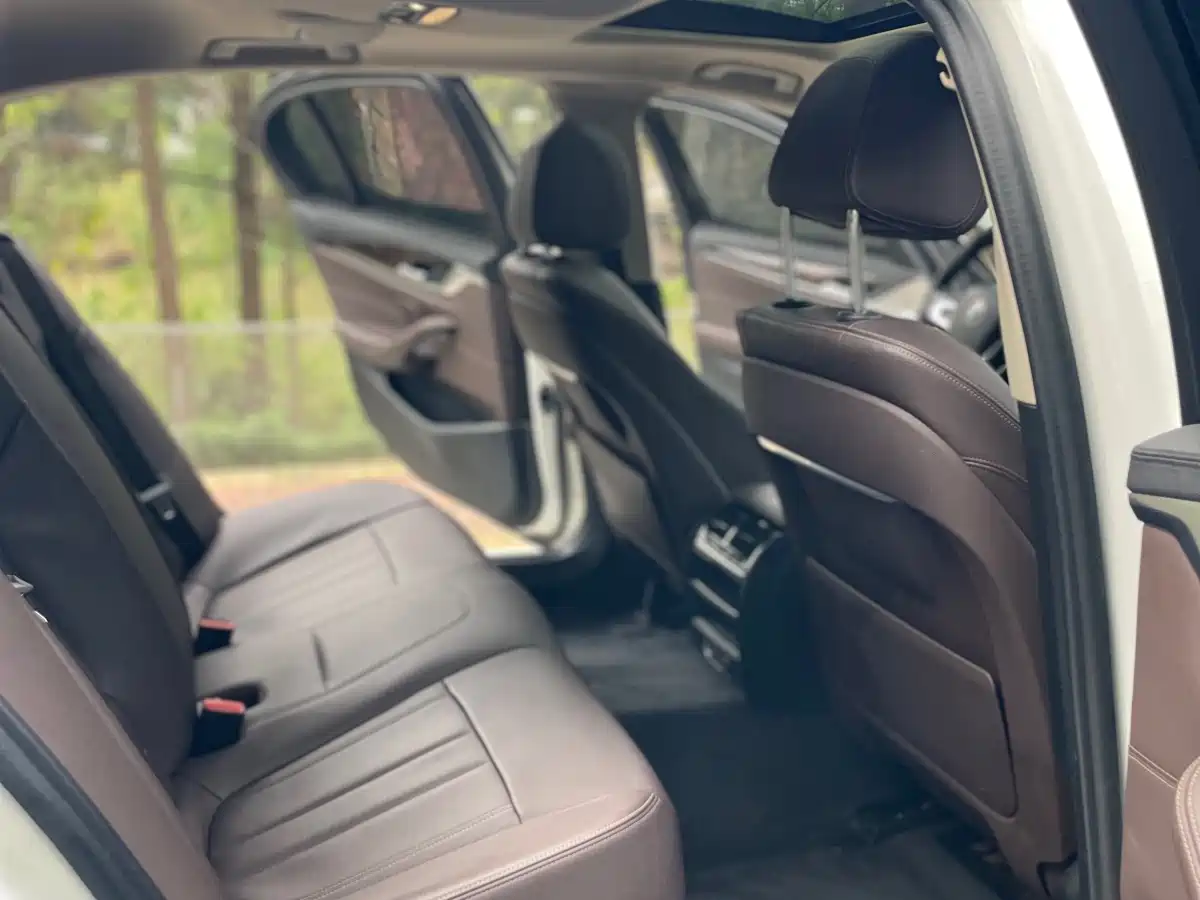 BMW 5 Series 2019 Facelift 525Li Luxury Package фото 12