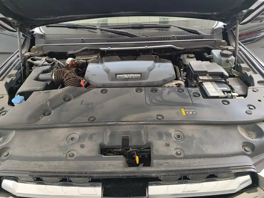 Tank 500 EV 2024 Hi4-T фото 10