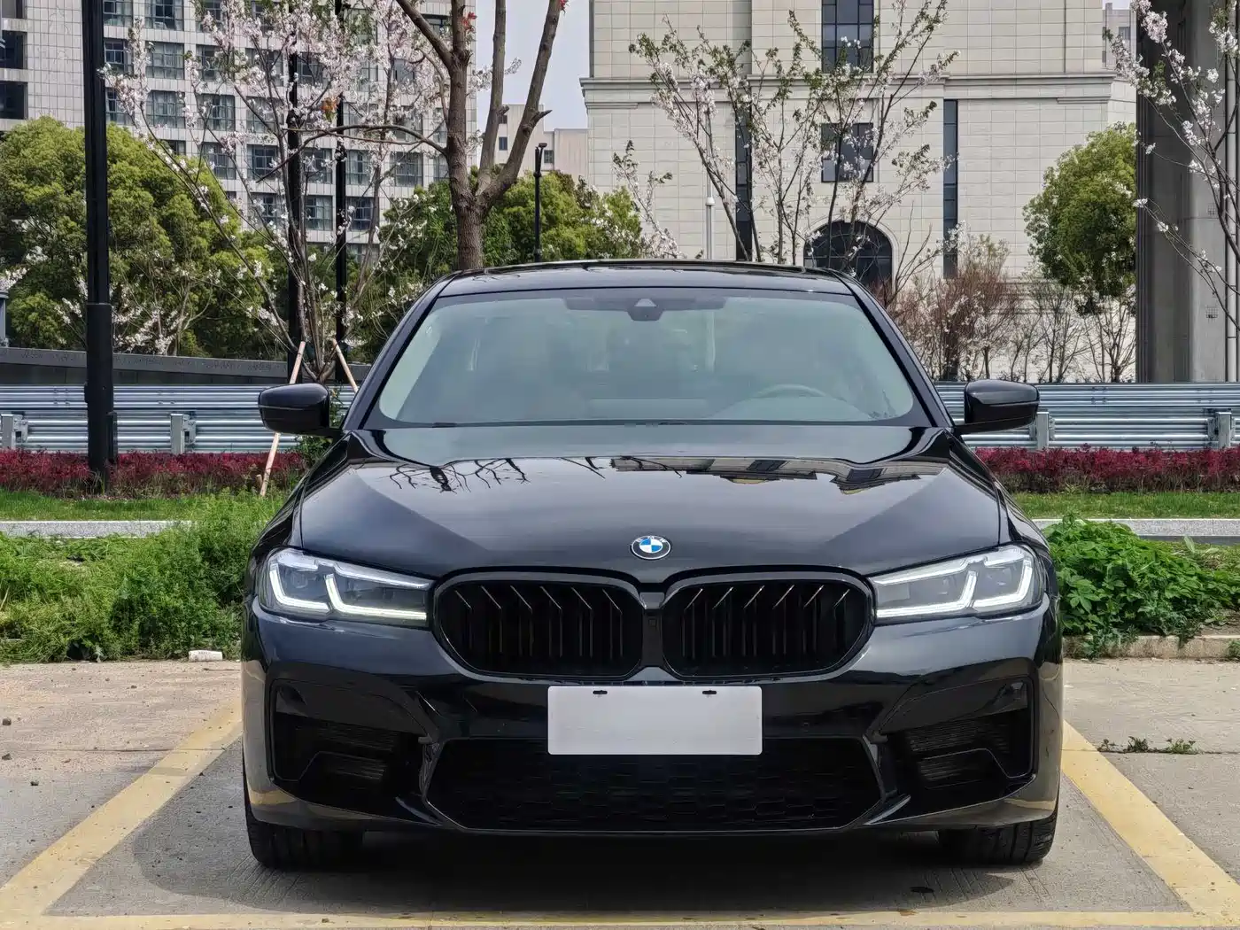 BMW 5 SERIES NEW ENERGY