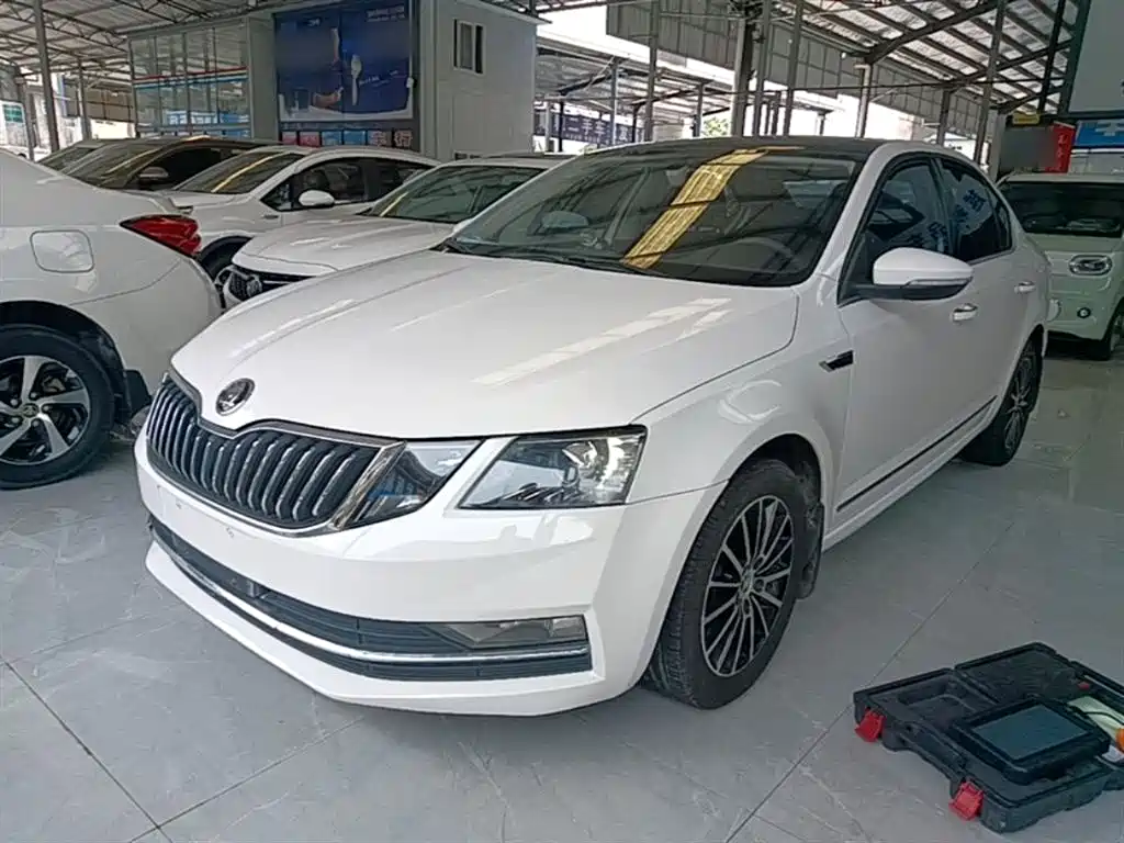 Škoda Octavia 2019 TSI230 DSG Smart Luxury Edition China V