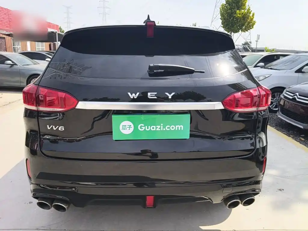 Фото 6 - WEY VV6