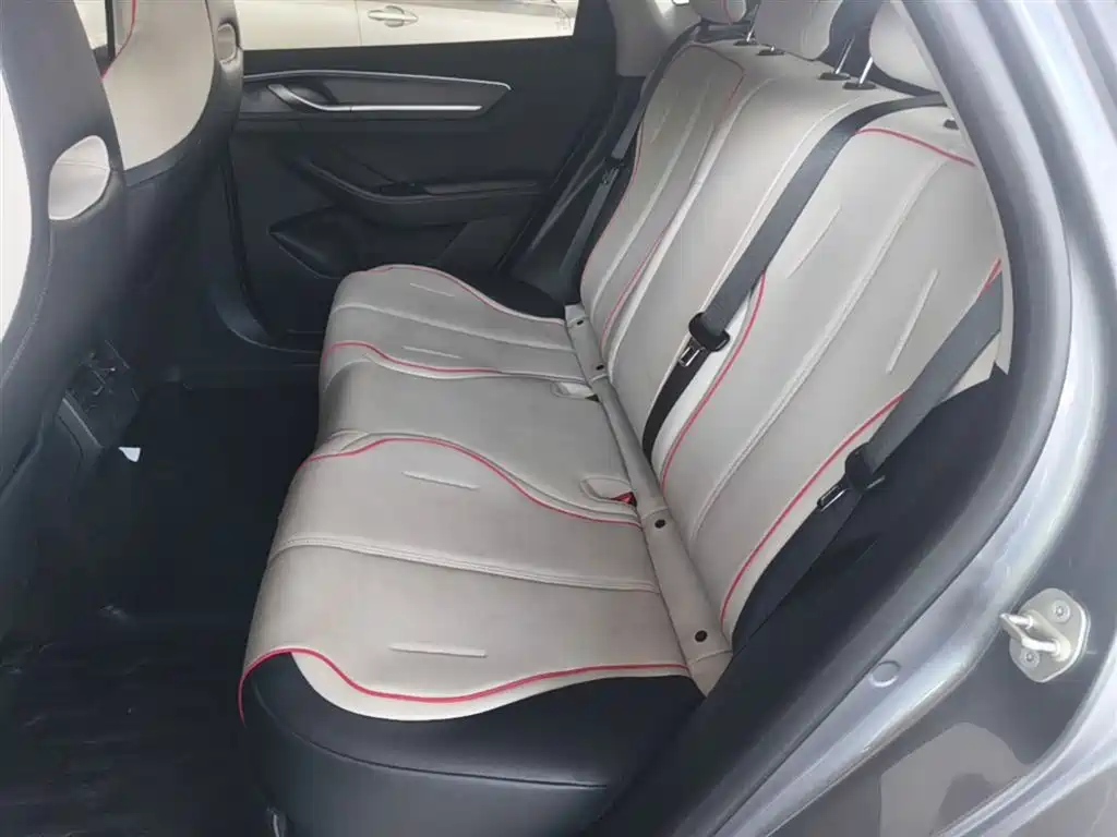 BYD Destroyer 05 2023 Champion Edition DM-i 55KM Luxury фото 17