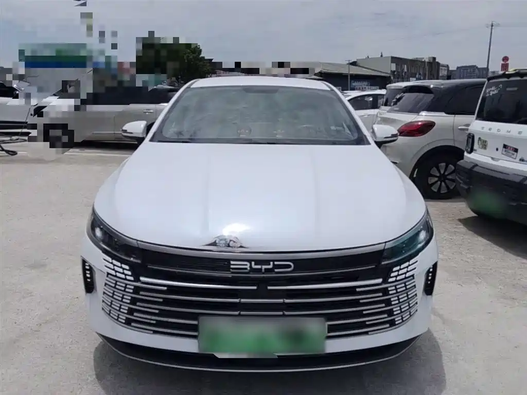 BYD Destroyer 05 2024 Glory Edition DM-i 55KM Luxury фото 3