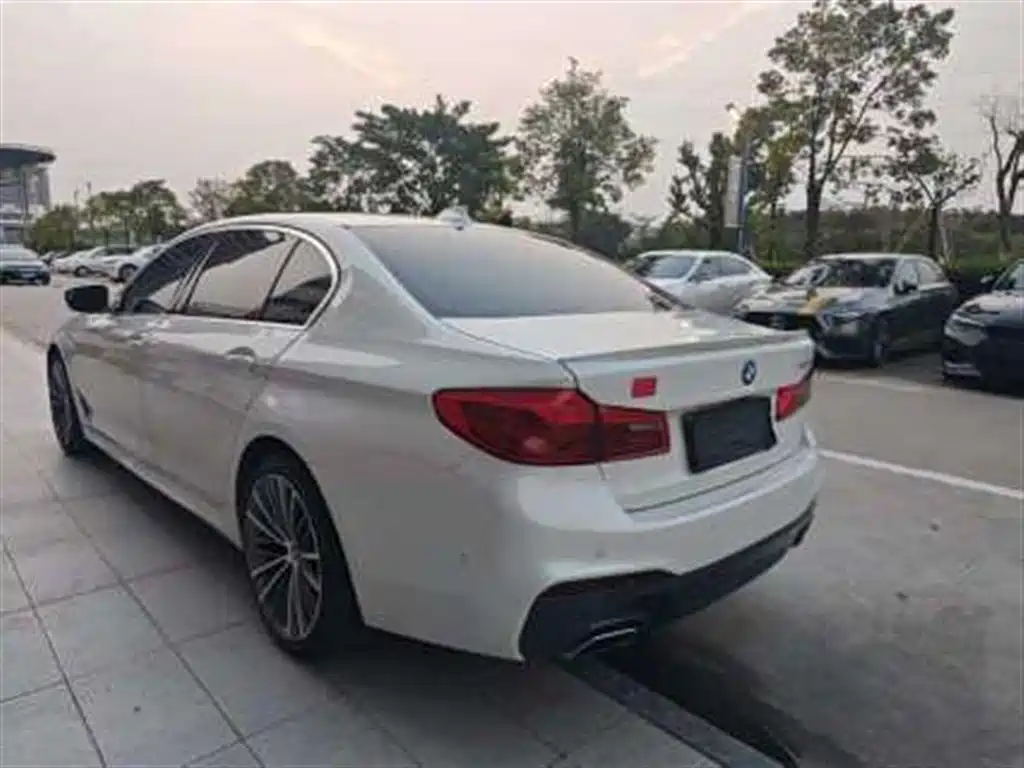 BMW 5 Series 2020 525Li M Sport Package фото 6