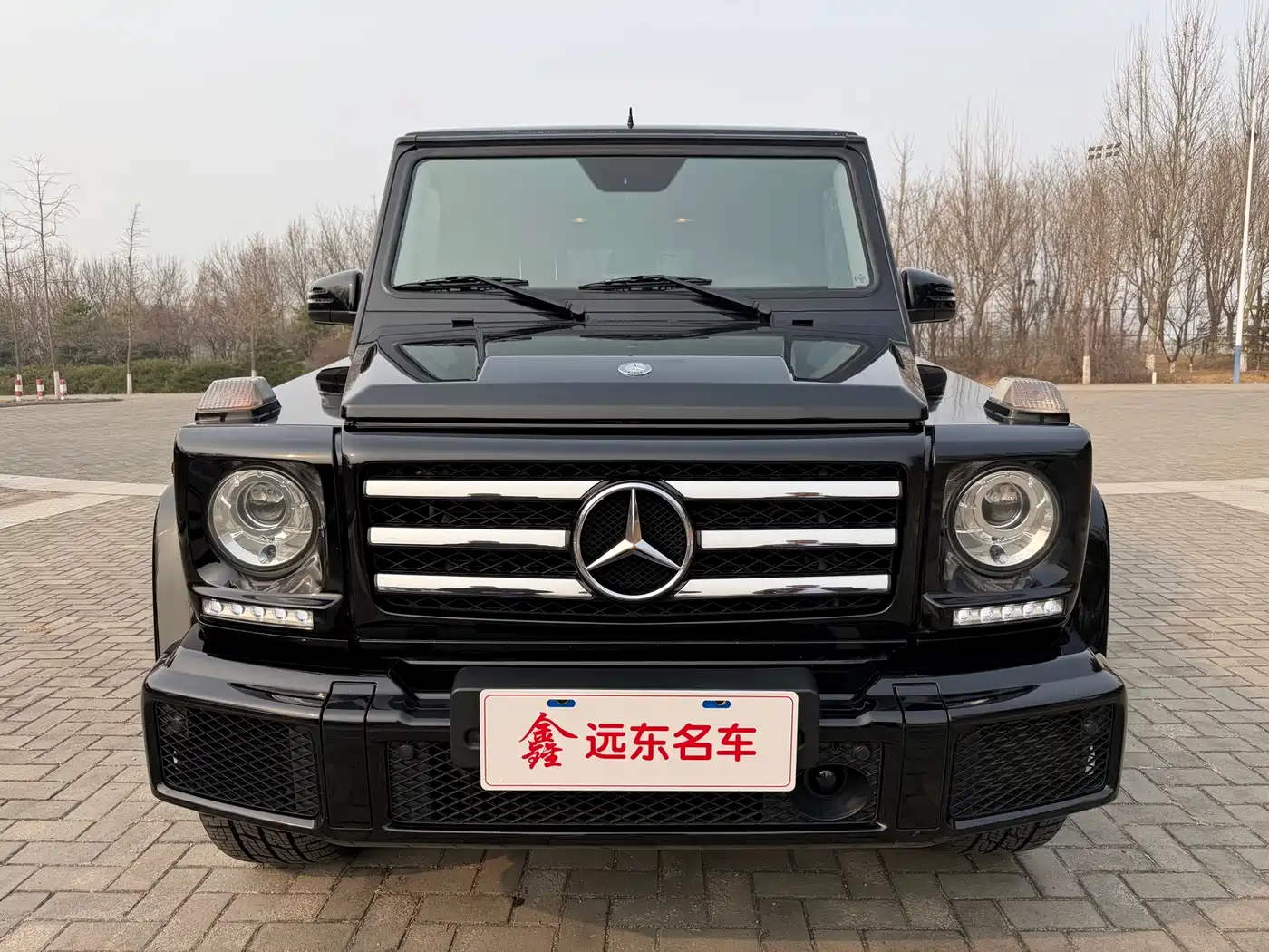 Mercedes-Benz G-Class 2016 G 500 фото 2