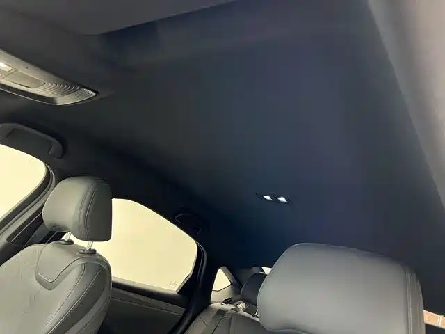 BYD Qin PLUS 2025 DM-i Smart Drive 55KM Leader фото 15