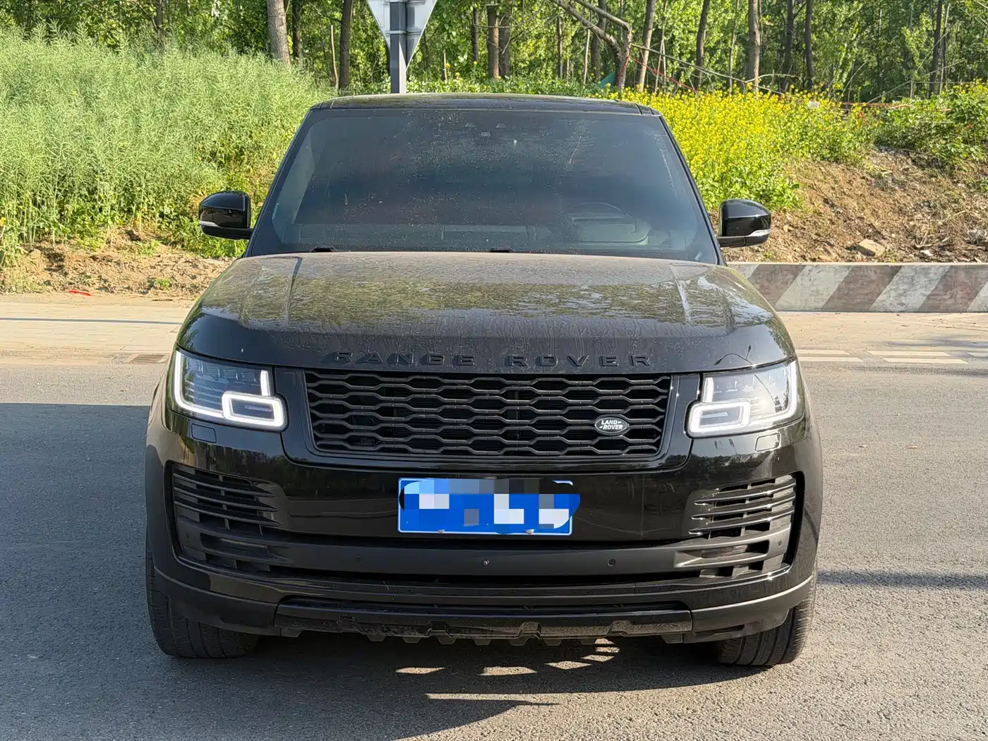 Land Rover Range Rover 2020 3.0 L6 Supreme Creation Extended Version фото 2
