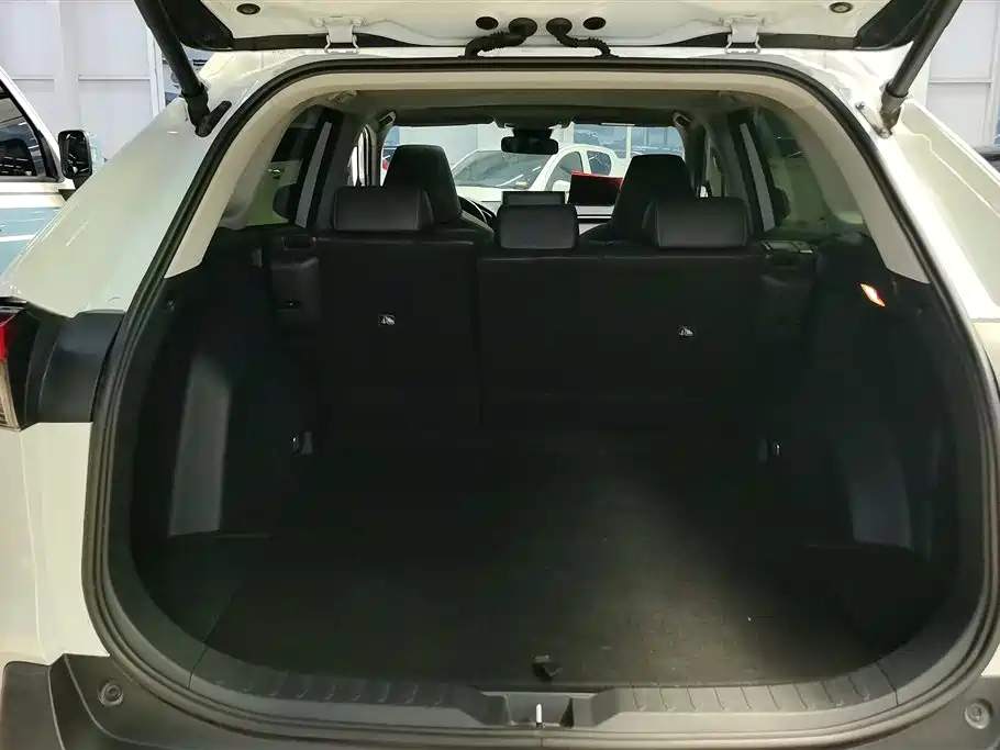 Toyota RAV4 Rongfang 2022 2.0L CVT 2WD Trend Plus Edition фото 4